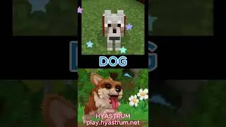 COMPARISON OF MOBS HyTale! IP - play.hyastrum.net #hytale #minecraft