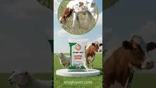 Eroğlu Yem Arpa Ezme  #hayvancılık #arpaezme