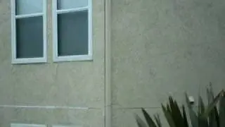 IMGP0153
