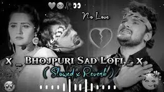 Ja Ja Jan Bhula Jaiha Bhojpuri Slowed Reverb Khesari lal Yadav 
