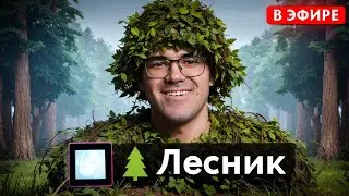 Я ЛЕСНОЙ ЖИТЕЛЬ !стим !румтур !кресло
