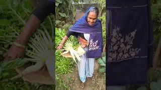सर्दियों में मूली उगना बहुत आसान है#मूली#muli harvesting#gardening #shortsvideo #naturals 🌿🏡