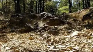 WRAITHS AT SUPERLIFT ORV