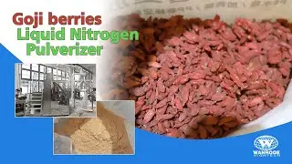 Goji berries pulverizer丨High Capacity Food-Grade Cryogenic Liquid Nitrogen Grinding machine