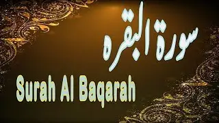 SRS Islamic knowledge is live!سورۃ البقرہ آیات 21 تا 29 | دل کو ہلا دینے والی تلاوت Shafiqurrqhman