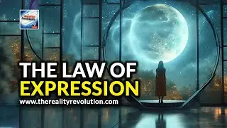 The Law Of Expression