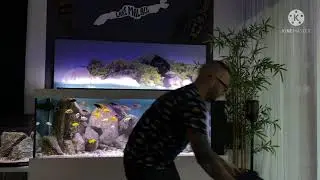 Water Change Mbuna #mbuna #aquarium #nature
