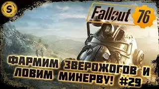 Fallout 76 2022 ➤ Прохождение #29 ➤ Фармим Зверожогов и ловим Минерву!