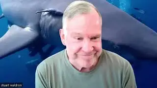 Everything AI in travel chat to Stu Waldron around all things Open Source in Travel