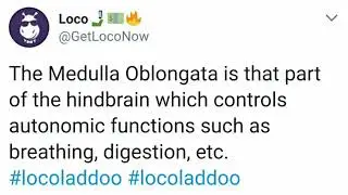 Loco social media ladoo for 6 September 10 pm