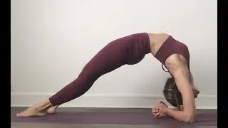 yoga du matin n°15