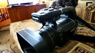 Panasonic AG-AC120 моя камера