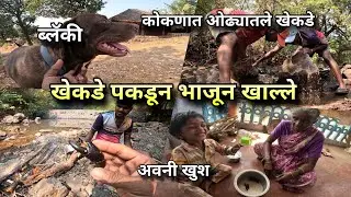 ओढ्यात खेकडे पकडून खाल्ले भाजून - खेकडे पाहून अवनी खुश | Crabs Catching Eating | Kokankar Avinash