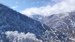 TALIŞ DAĞLARI QAR BOĞULDU😱
