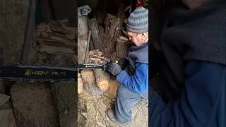 Electric Saw Cutting Through Dry Wood | Satisfying Firewood Sounds