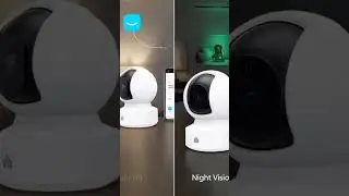Stop Worrying! Kasa EC70 360&deg; Dog & Baby Monitor with Night Vision & Motion Tracking (Full Setup)