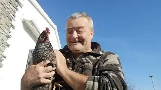 #288 Humour du jour Enceinte Papi Corse 17 1 25 FR