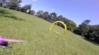 Quaddiction gates