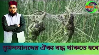 মুসলমানদের ঐক্যবদ্ধ হতে হবে। Muslims must unite। Update News। বাংলা খবর। BBCI TV
