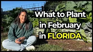 What to Plant in February in Florida | Vegetables, Herbs & Flowers