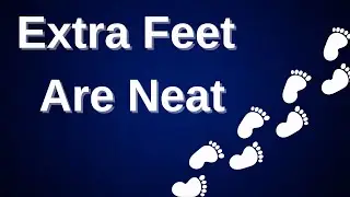 Mastering Quilting Precision: APQS Longarm Machine's 5 Versatile Feet Collection