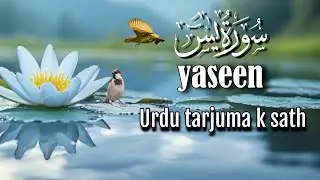 Surah Yaseen | Surah Yaseen With Urdu Translation | Episode - 60 | Qari Athar Sahib