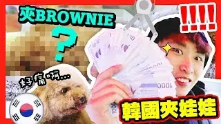 【夾娃娃】韓國「24小時娃娃店」竟然有🐶BROWNIE可以夾！？三萬韓元能夾到多少個！？(中字)