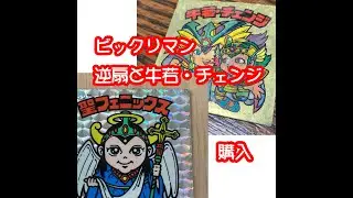 【購入】聖フェニックス逆扇とチェンジ牛若　フリマサイト！