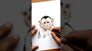 From Paper to Monkey 🐒✏️ | Sketch Art#shorts #monkey #art #drawing #cute #sketch