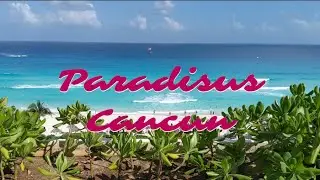 Paradisus Cancun | Best Hotel in Cancun