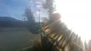 Autism vs Bi Polar Disorder with PTSD