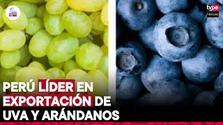 Perú lidera exportación mundial de arándanos y uva  | 