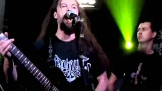 EvergreeD - Curse of Reality