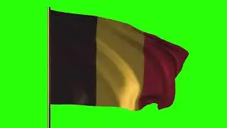 Flag of Belgium | Vlag van Belgi&euml; | GREENSCREEN | ROYALTY FREE 4K LOOP