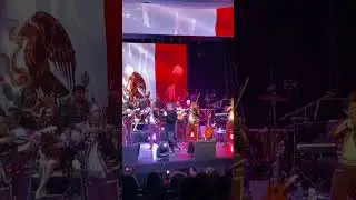 El viajero con XANDRO LEIMA - Hasta que me olvides, el homenaje