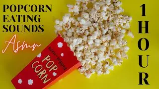 Popcorn Eating Sounds| 1 HOUR | ASMR Sounds | POPCORN ASMR | ASMR Unique