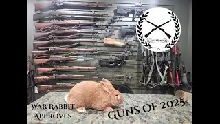 The Guns of 2025