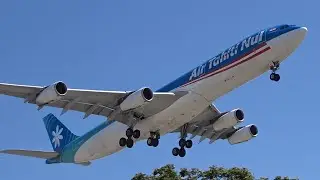 Air Tahiti Nui Airbus A340-300 [F-OJGF] landing at Los Angeles (LAX/KLAX)