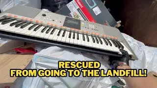 DUMPSTER DIVING At a Thrift Store Dumpster and Apartments!