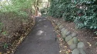 Tokyo Adventure 2025 Part 14 home Sweet Home