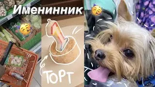 Покупки для наших собак || День Рождения у Джоя || ШОППИНГ 🛍