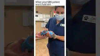 MRI TECH DAY IN THE LIFE