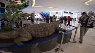 Dubai mall | Aquarium & Ender water Zoo Video 💦