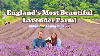 Lavender Fields Near London 🌿 Castle Farm Kent Day Trip | UK Summer Travel Vlog