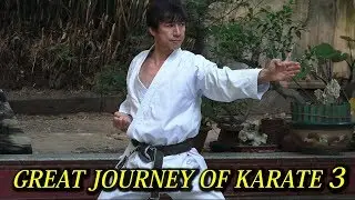 Karate meets Kung-fu in Shaolin Temple 