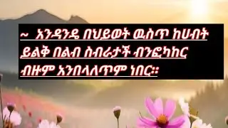 አንዳንዴ  በህይወት ውስጥ  ከሀብት ይልቅ በልብ ስብራታች ብንፎካከር  ብዙም አንበላለጥም ነበር