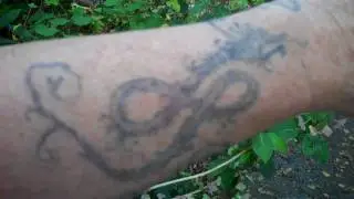 Celtic woading/indigo body paint