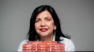 Food grown with fewer chemicals? A Brazilian scientist wins World Food Prize for showing the way