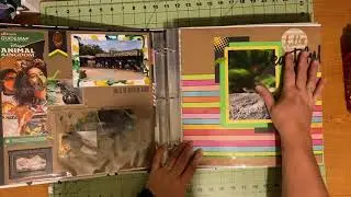 Disney Scrapbook Flip Through - Animal Kingdom and Disney Springs