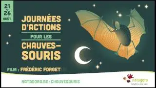 Journ&eacute;es d'Actions pour les Chauves-Souris avec Natagora